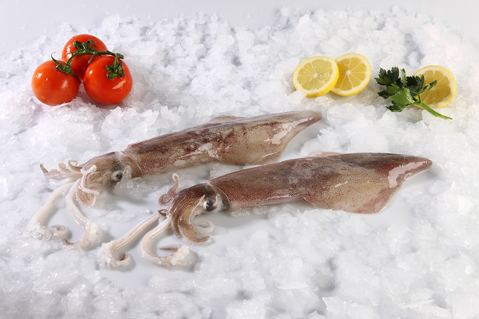 ΚΑΛΑΜΑΡΙ ΙΝΔΙΩΝ 10/20 ΚΑΘ. ΚΟΜ. 1kg - Image 5
