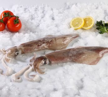 ΚΑΛΑΜΑΡΙ ΜΑΡΟΚΟΥ Ρ