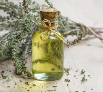 ΡΙΓΑΝΕΛΑΙΟ ΒΙΟ 100ml