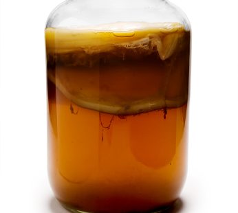 ΚΟΜΠΟΥΧΑ ΒΙΟ 750ml