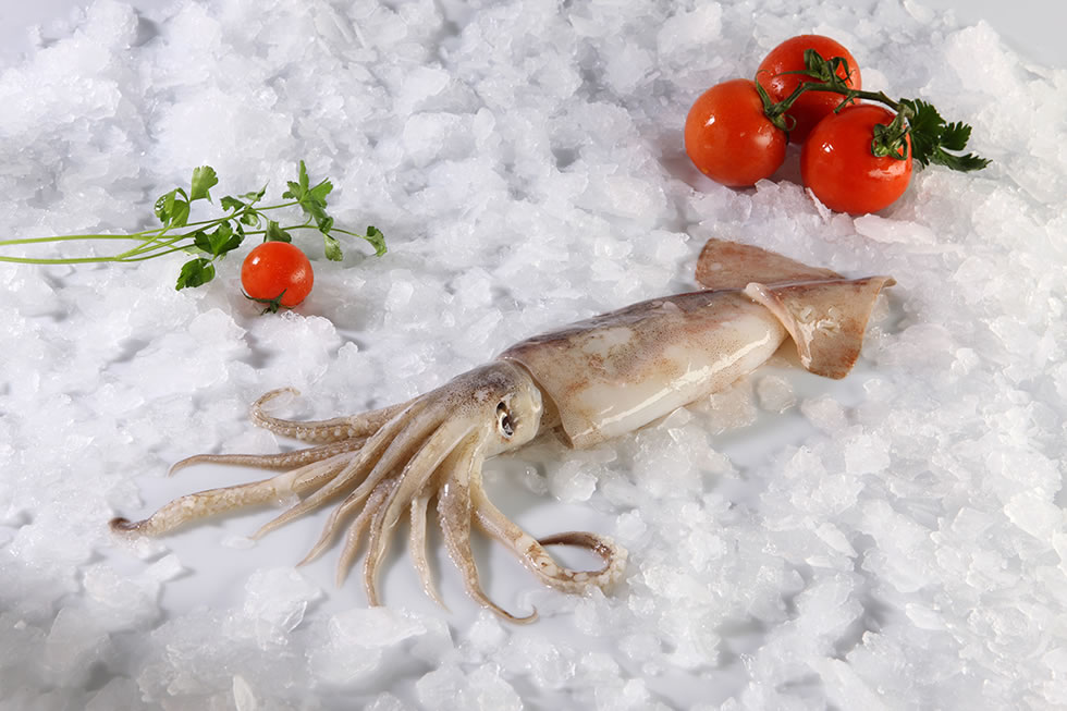 ΚΑΛΑΜΑΡΙ ΙΝΔΙΩΝ 10/20 ΚΑΘ. ΚΟΜ. 1kg - Image 3