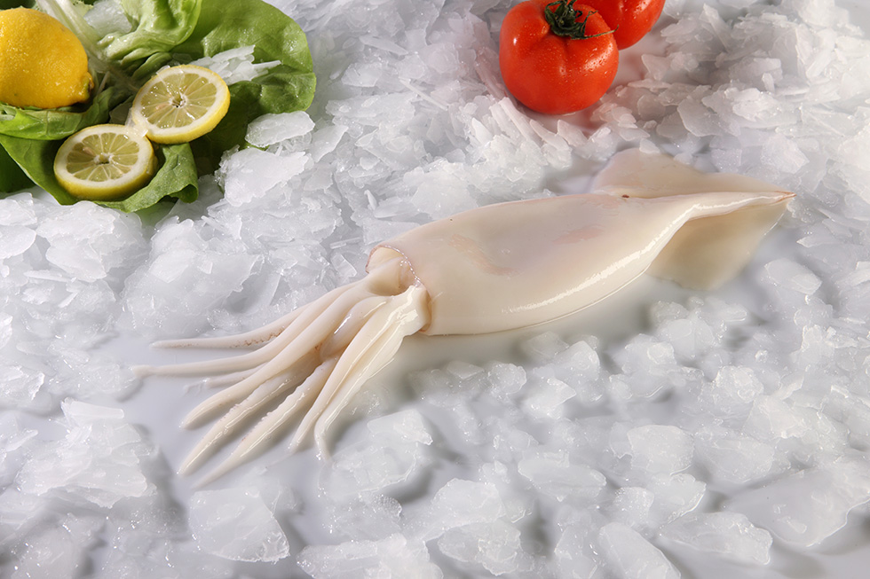ΚΑΛΑΜΑΡΙ ΙΝΔΙΩΝ 10/20 ΚΑΘ. ΚΟΜ. 1kg - Image 4